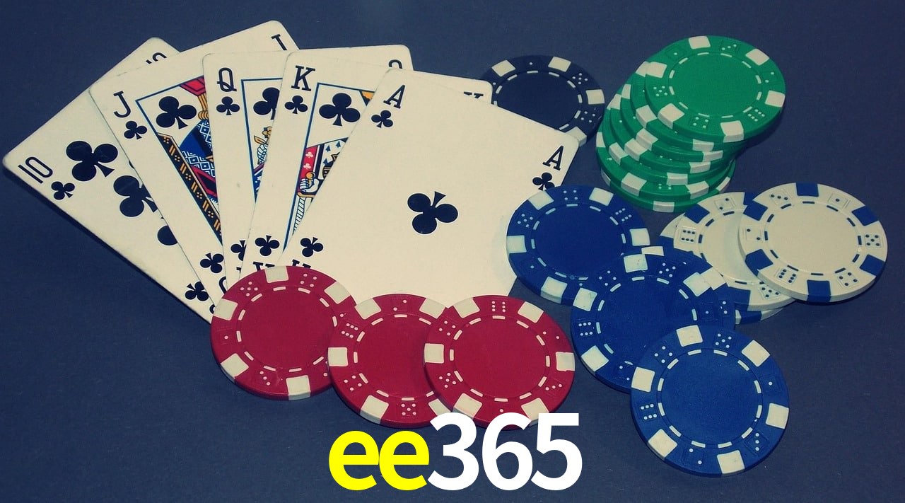 Bonus Features ee365